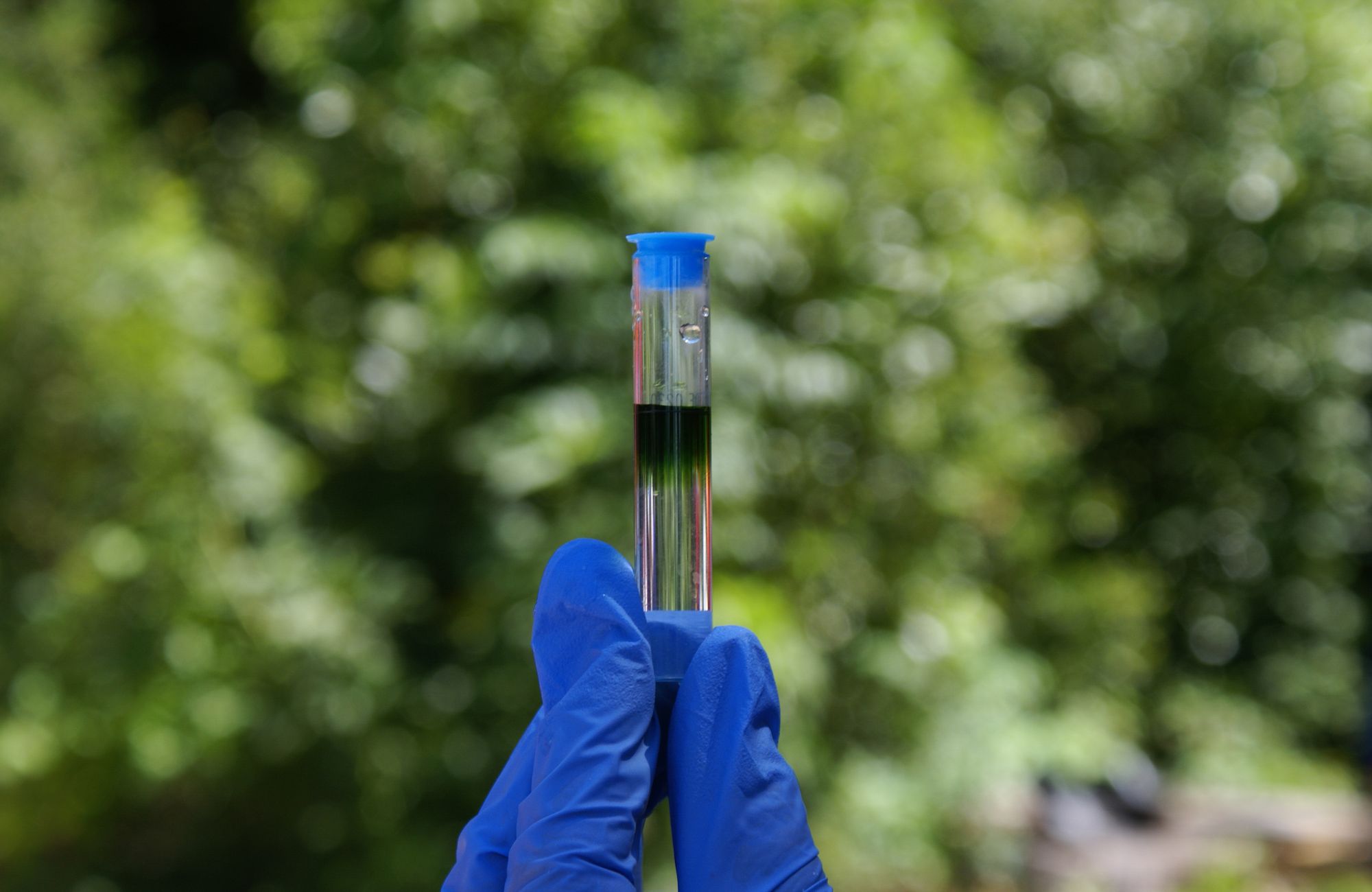 Well Water Inspection Cost What Homeowners Should Expect
